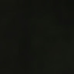 Meet your Posher, Deloris